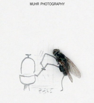 Illustration for article titled The Dead Fly Artwork Of Magnus Muhr